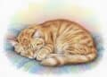 Katze schlafend malen