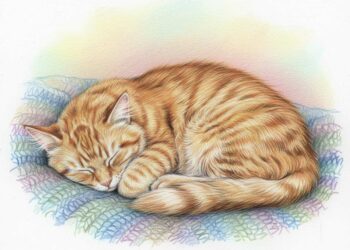 Katze schlafend malen