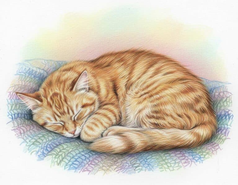 Mehr über den Artikel erfahren Katze schlafend malen