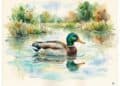 Ente malen mit Wasserfarben